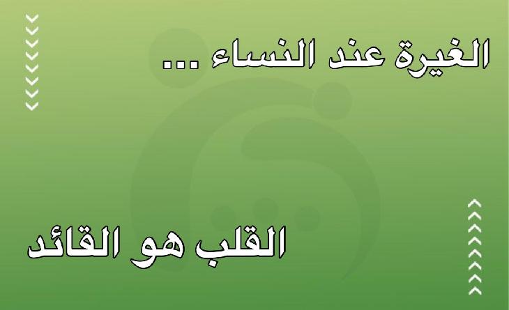 صورةواتساببتاريخ1447-04-28في13.14.21_bca2257e
